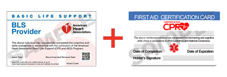 CPR and First Aid Class Arlington